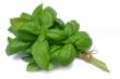 Bouquet Basilic De France à La Pièce